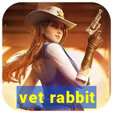 vet rabbit